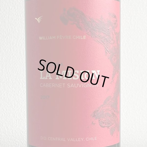 画像2: 2017年ラミシオン・デ・ピルケ・カベルネ・ソーヴィニヨン750ml (2)