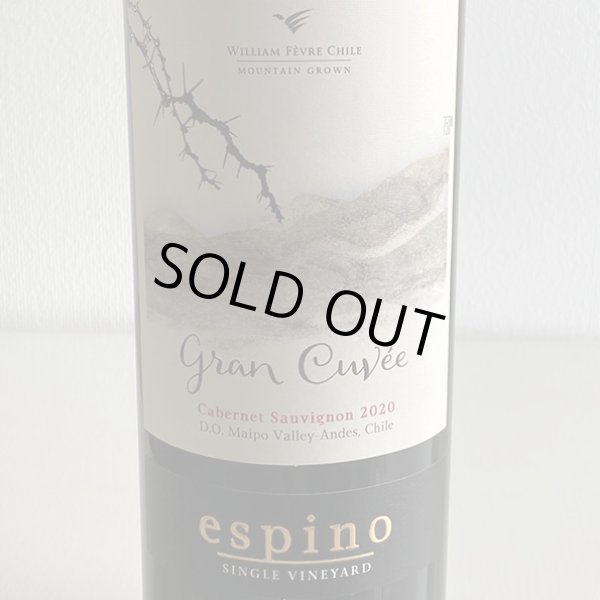 画像2: 2020年エスピノ・グラン・キュヴェ・カベルネ・ソーヴィニヨン 750ml (2)