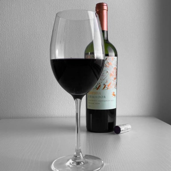 画像4: 2021年アルマドール・カベルネ・ソーヴィニヨン750ml (4)