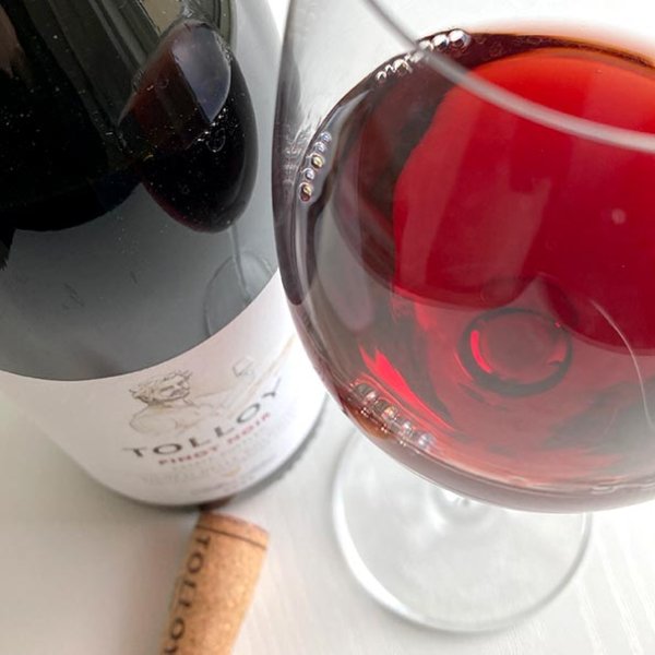 画像5: 2023年トロイ・ピノノワール750ml (5)