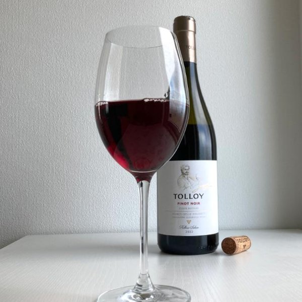 画像4: 2023年トロイ・ピノノワール750ml (4)