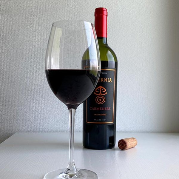 画像4: 2020年ビーニャ・ファレルニア・カルムネール・グラン・レセルバ 750ml (4)