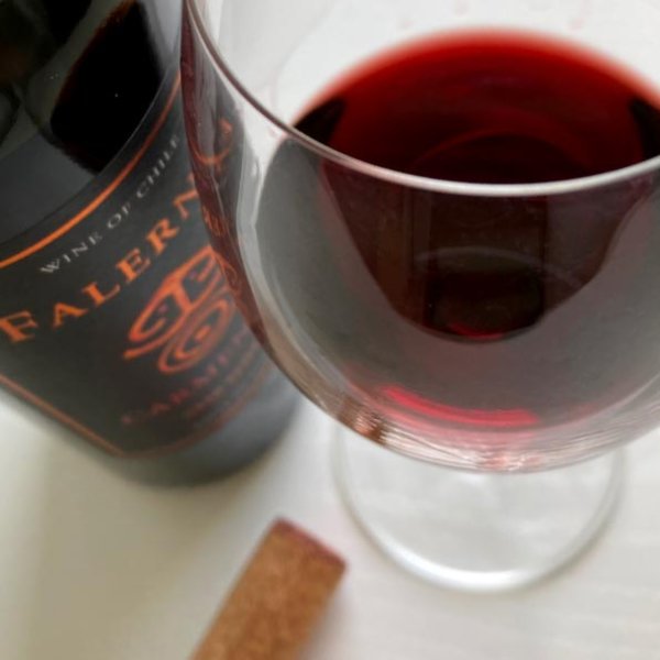 画像5: 2020年ビーニャ・ファレルニア・カルムネール・グラン・レセルバ 750ml (5)