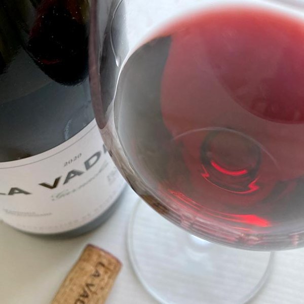 画像5: 2020年 ラ・ヴァディーナ・ナバスクエス・エノロヒア 750ml (5)