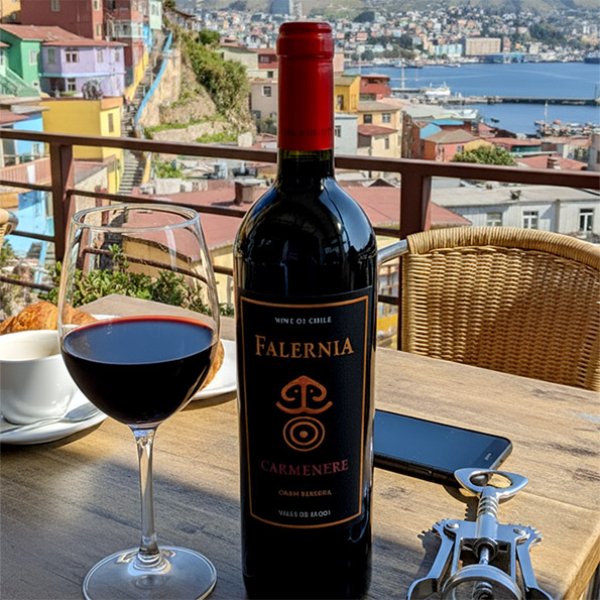 画像6: 2020年ビーニャ・ファレルニア・カルムネール・グラン・レセルバ 750ml (6)