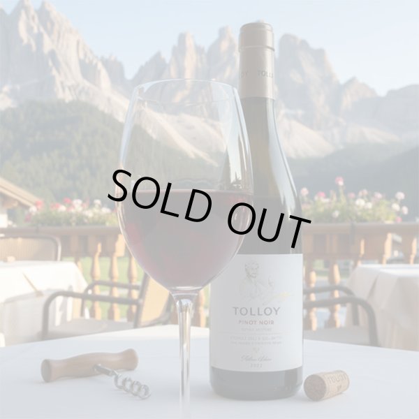 画像6: 2023年トロイ・ピノノワール750ml (6)