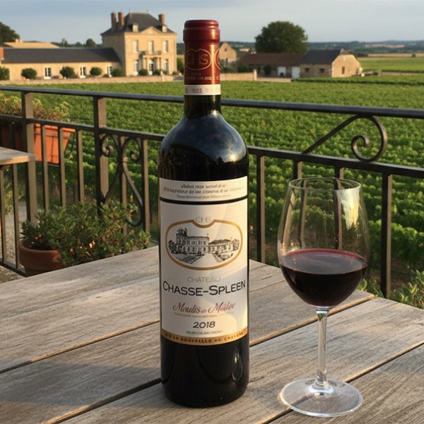 画像6: 2018年シャトー・シャス・スプリーン 750ml (6)